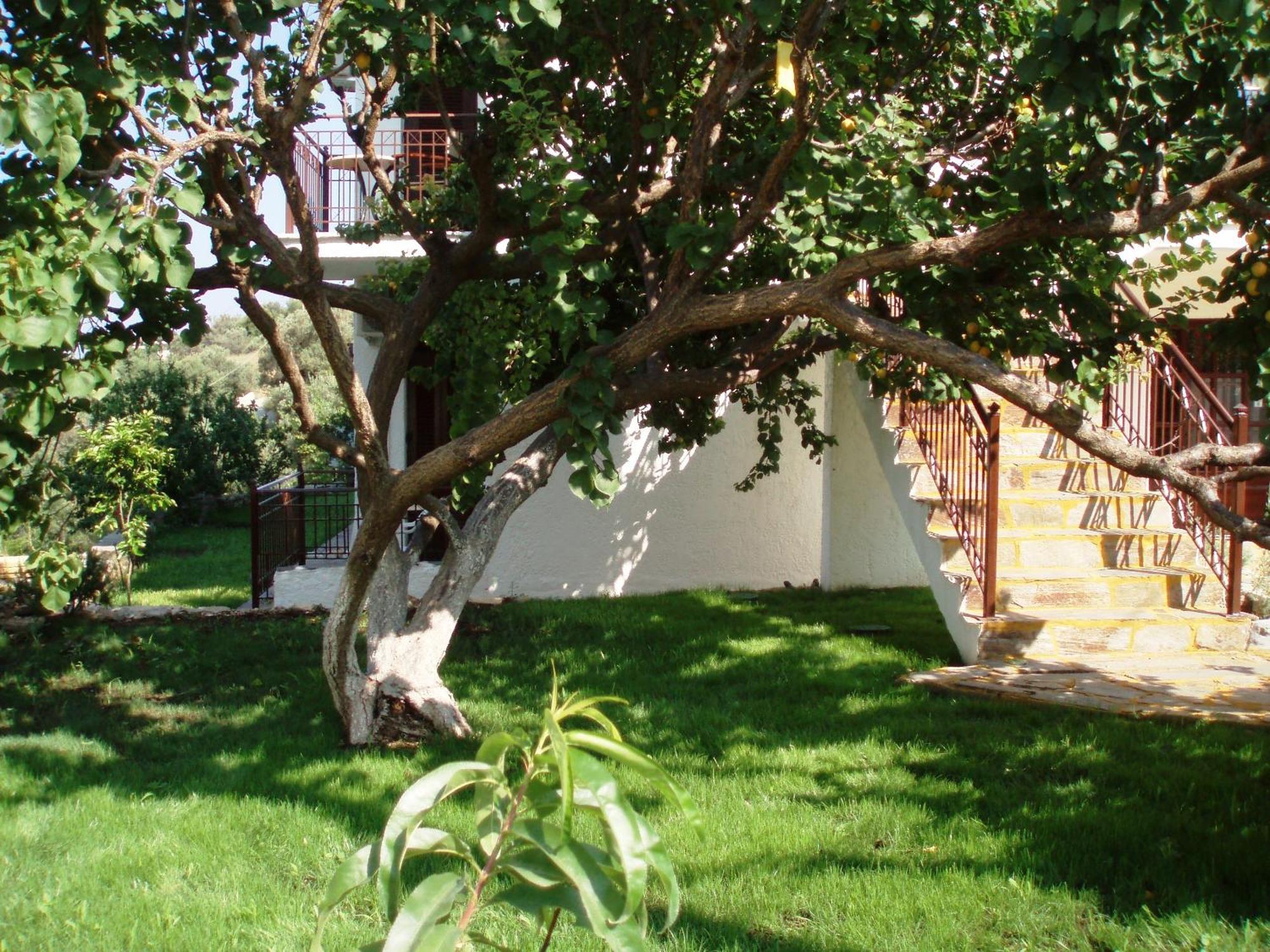 Scorpios Hotel & Suites Samos Town Exteriör bild